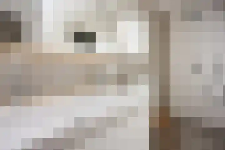 Kerkweg 52 Ede thumbnail 26