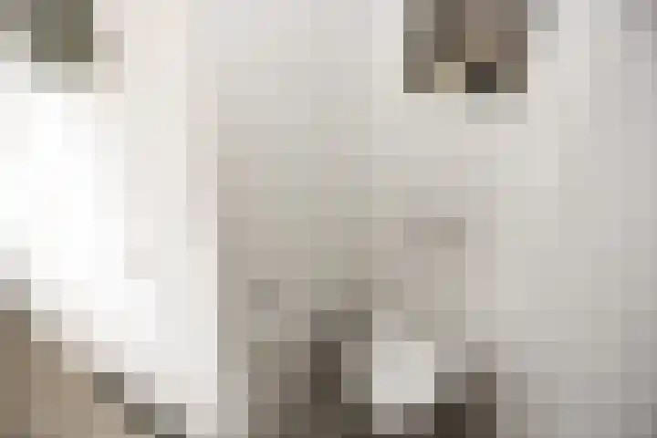 Kerkweg 52 Ede thumbnail 28