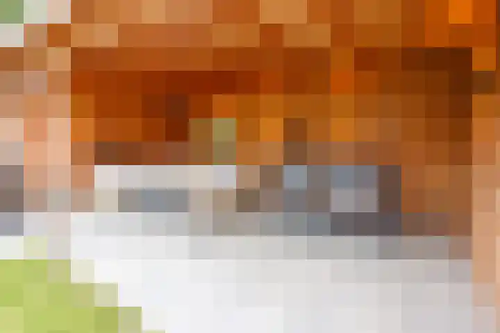 Kerkweg 52 Ede thumbnail 39