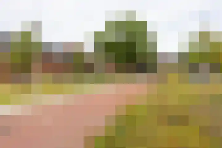Kerkweg 52 Ede thumbnail 43