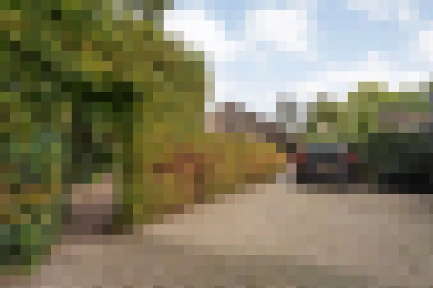 Kerkweg 52 Giethoorn thumbnail 10