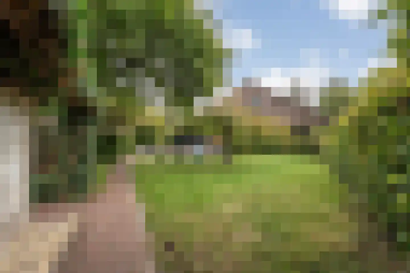 Kerkweg 52 Giethoorn thumbnail 11