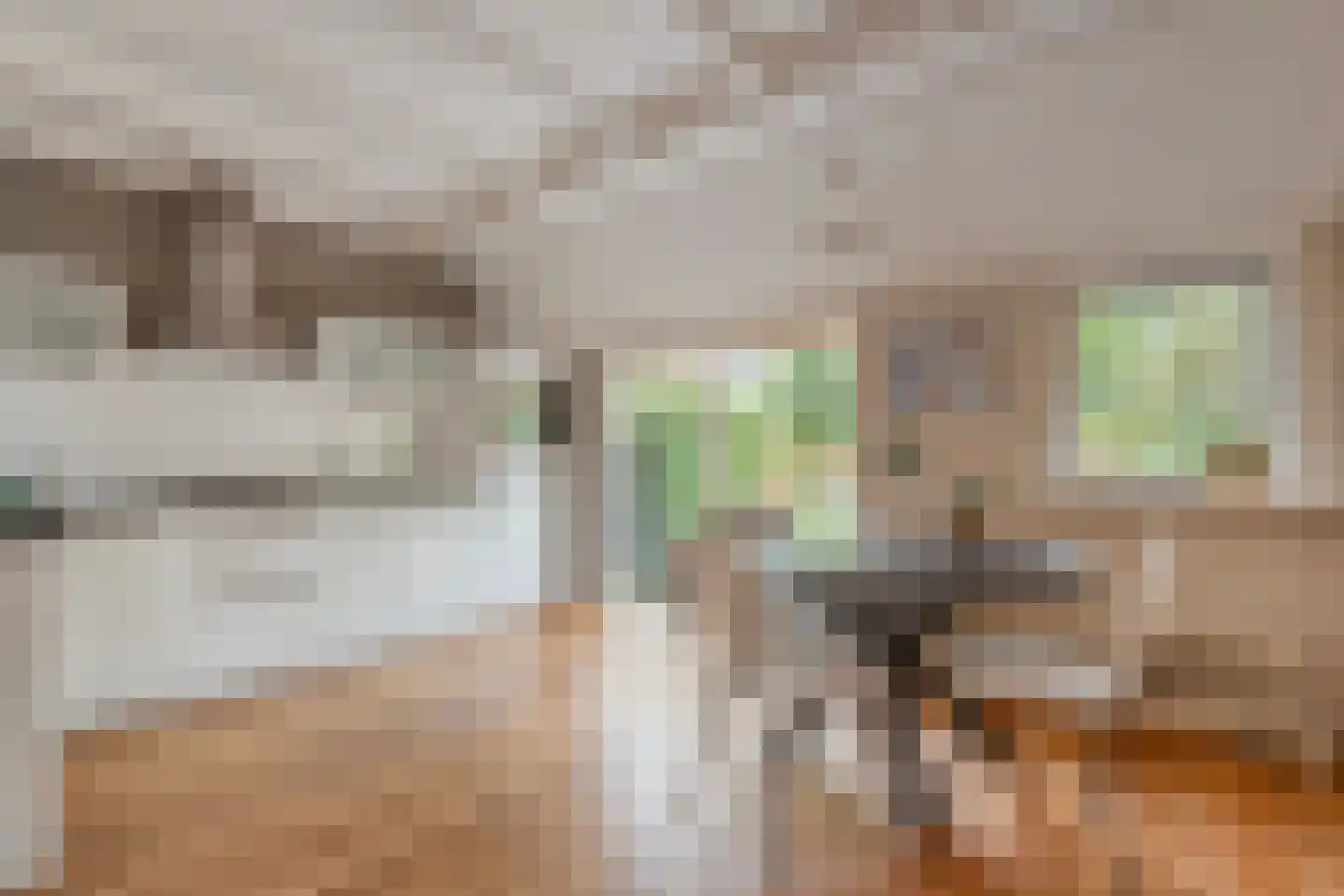 Kerkweg 52 Giethoorn thumbnail 14