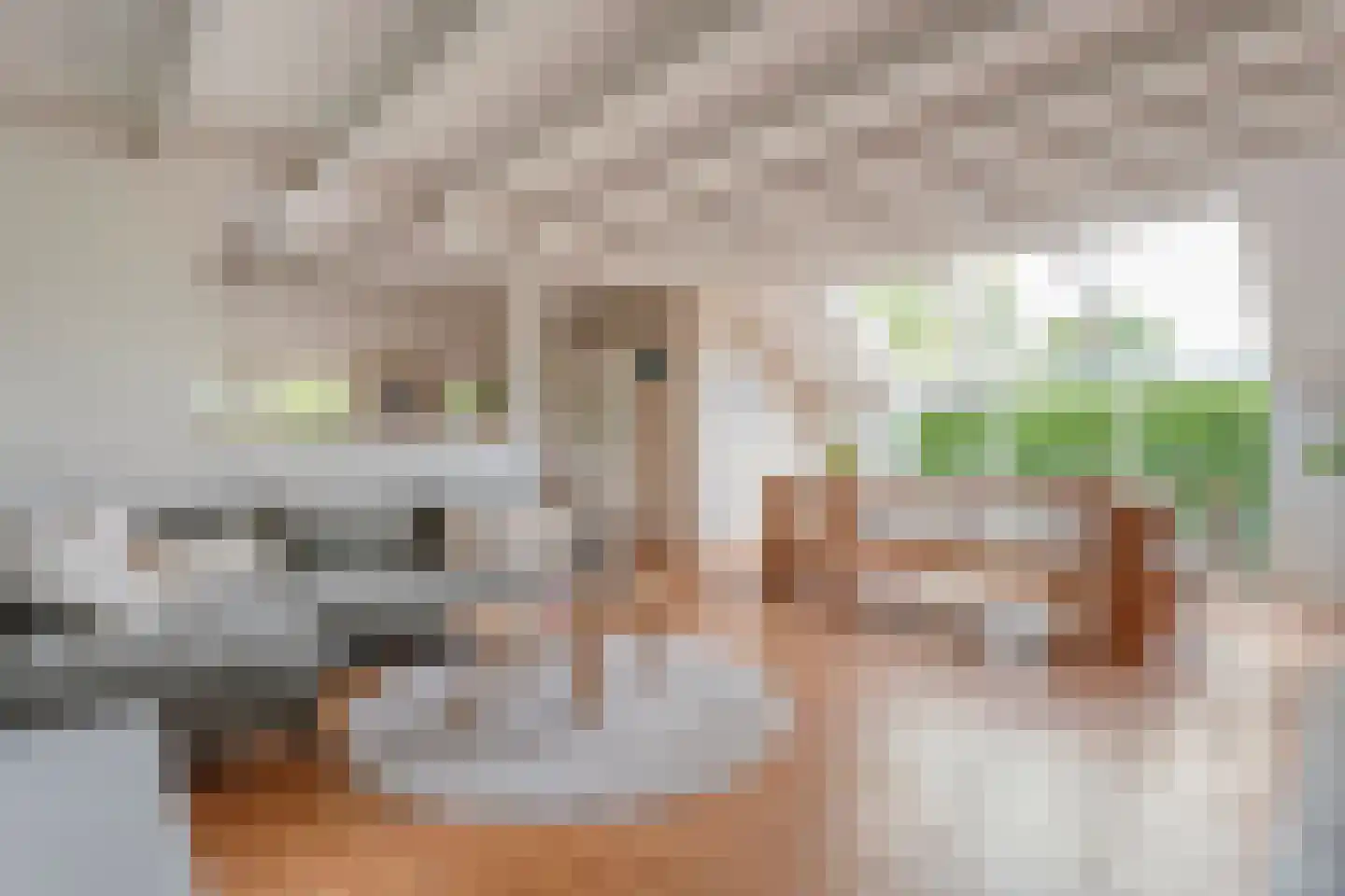 Kerkweg 52 Giethoorn thumbnail 21