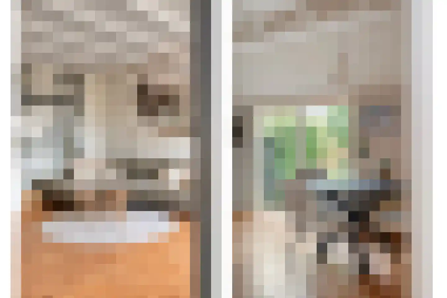 Kerkweg 52 Giethoorn thumbnail 24