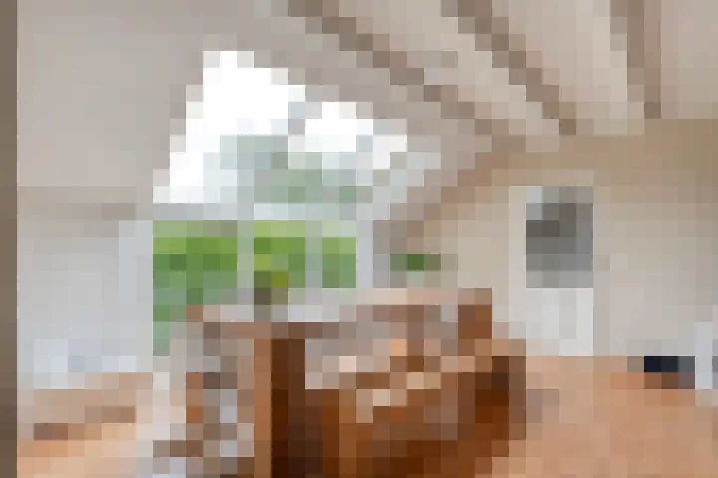 Kerkweg 52 Giethoorn thumbnail 25