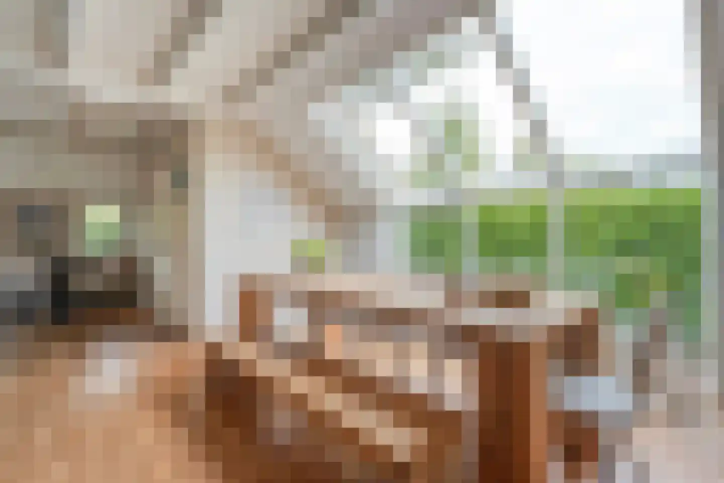 Kerkweg 52 Giethoorn thumbnail 4