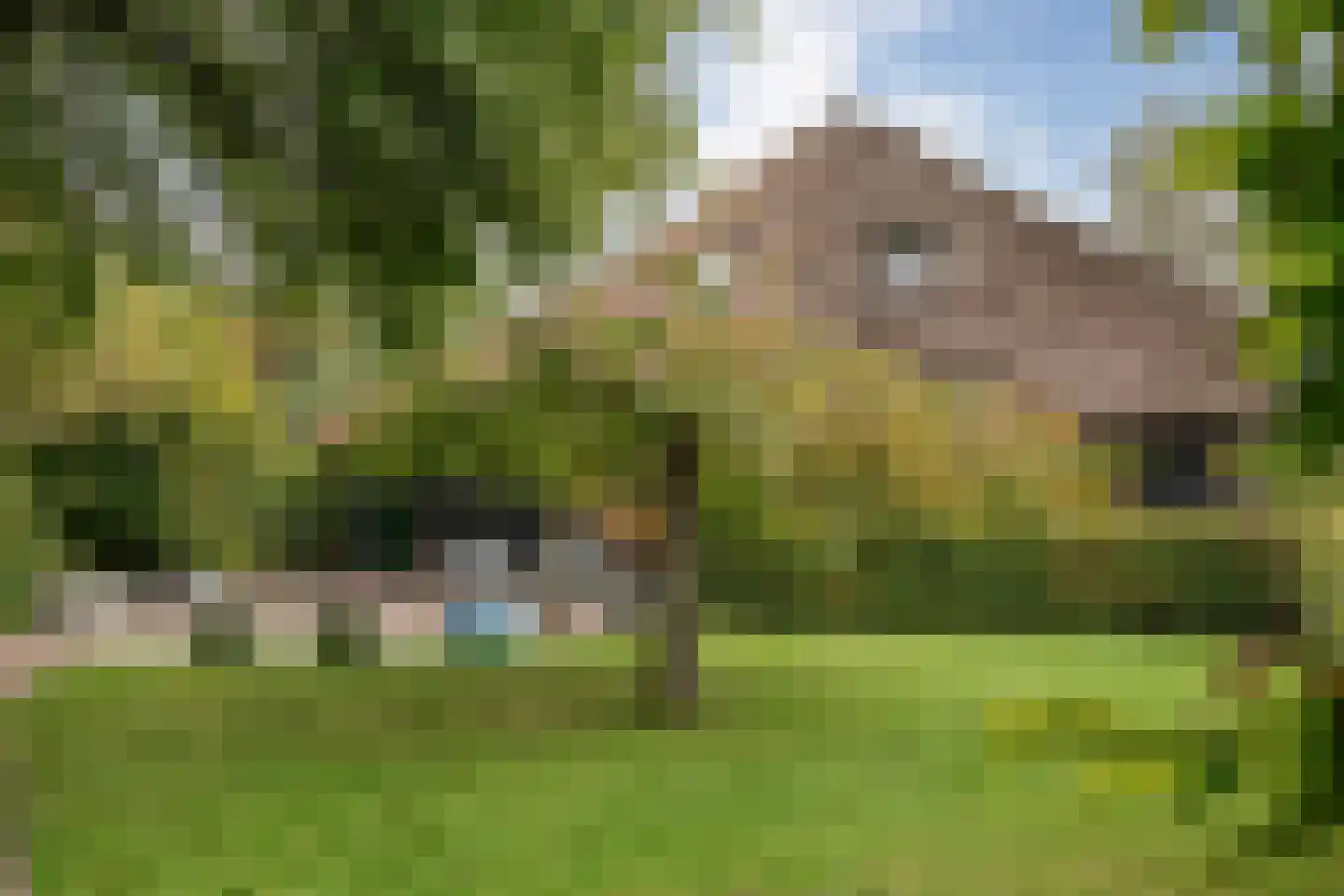 Kerkweg 52 Giethoorn thumbnail 42