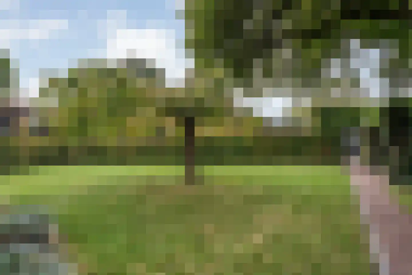 Kerkweg 52 Giethoorn thumbnail 45