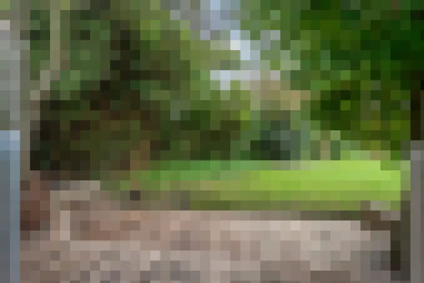 Kerkweg 52 Giethoorn thumbnail 46