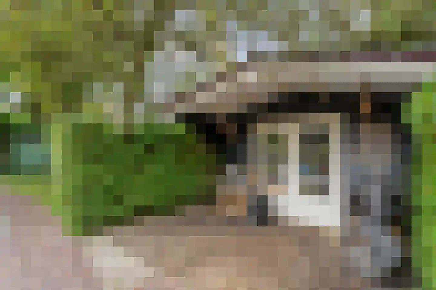 Kerkweg 52 Giethoorn thumbnail 48