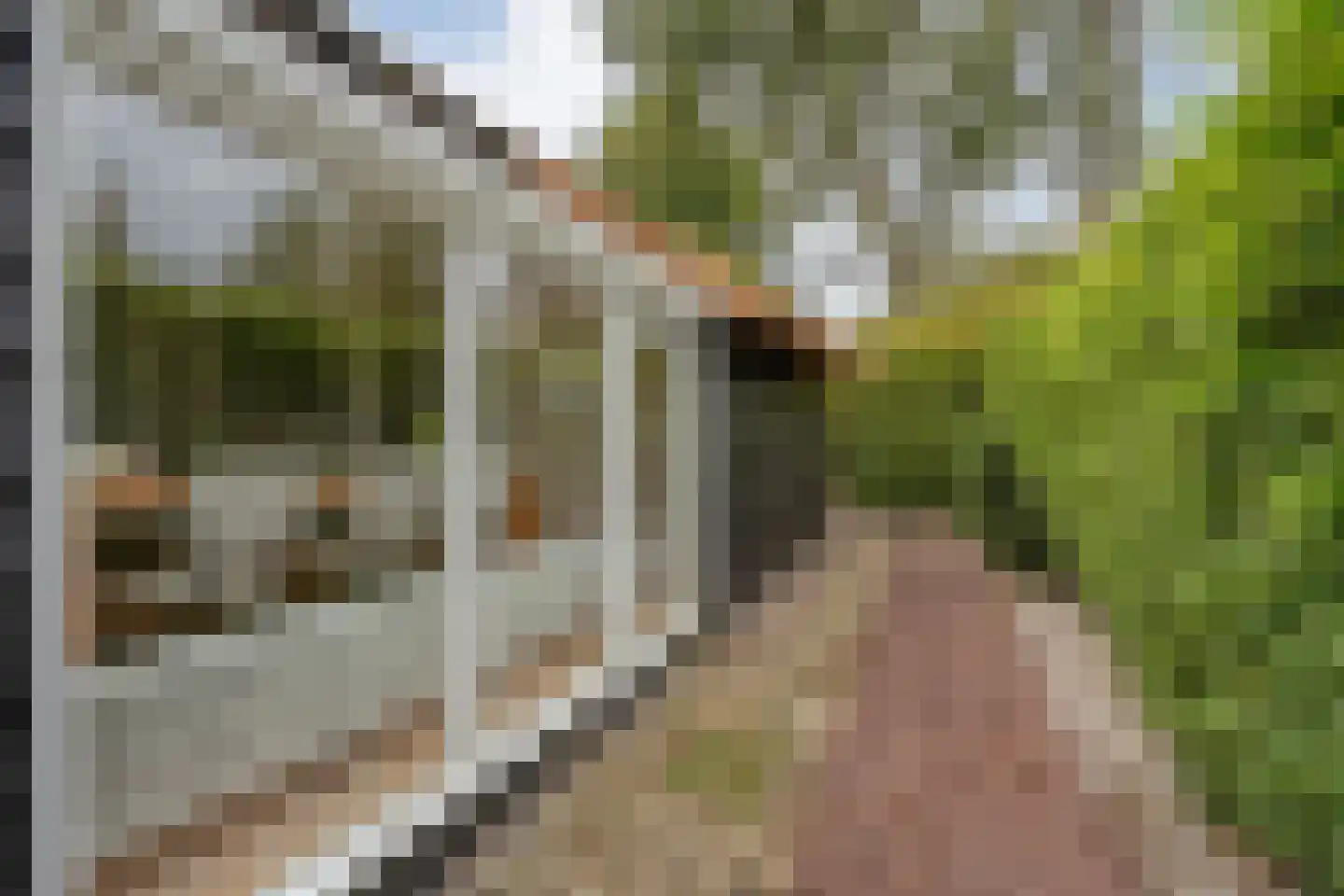 Kerkweg 52 Giethoorn thumbnail 53