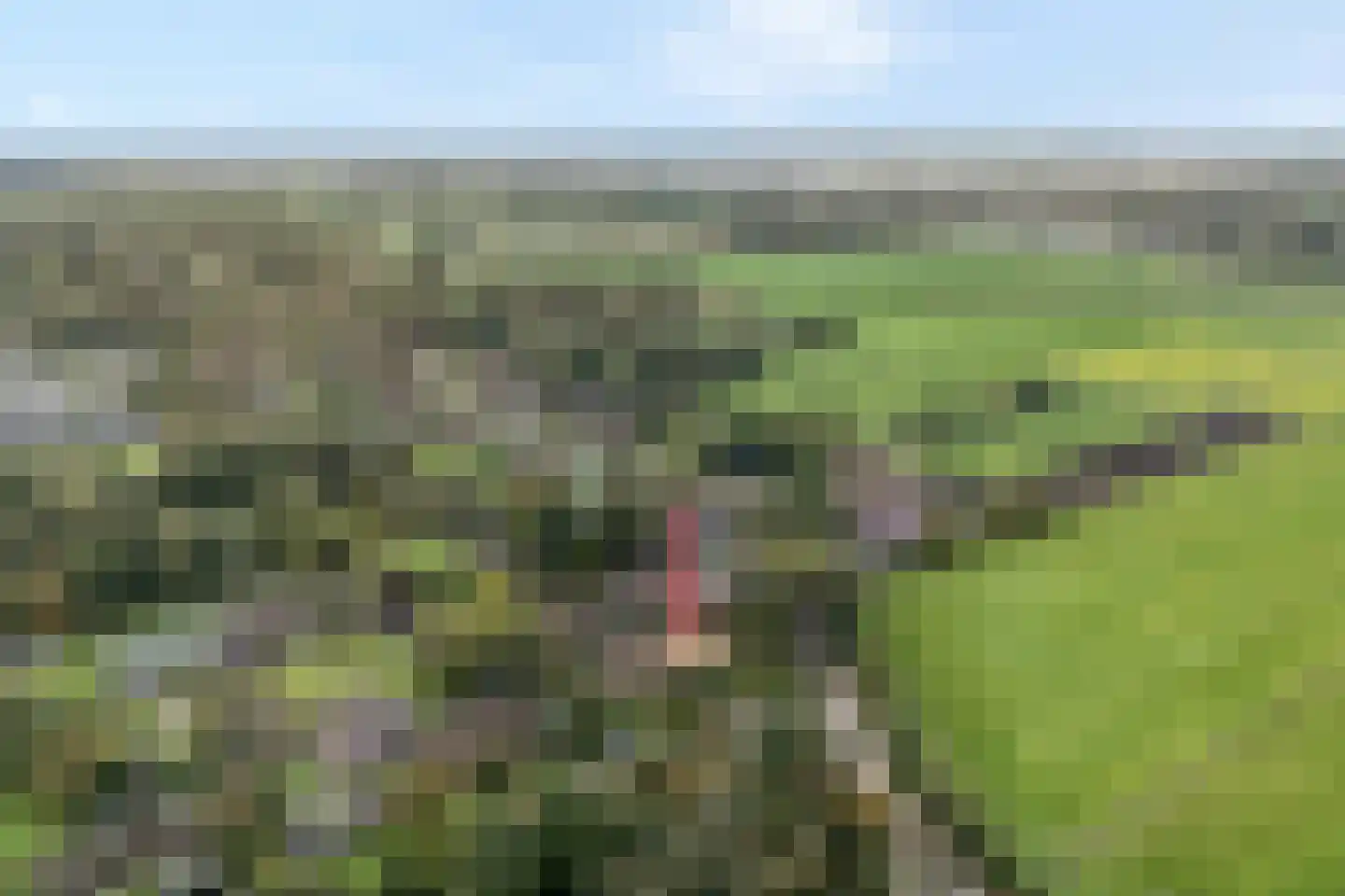 Kerkweg 52 Giethoorn thumbnail 61