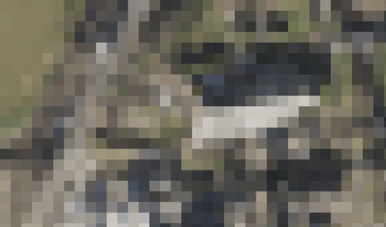 Kerkweg 52 Giethoorn thumbnail 62