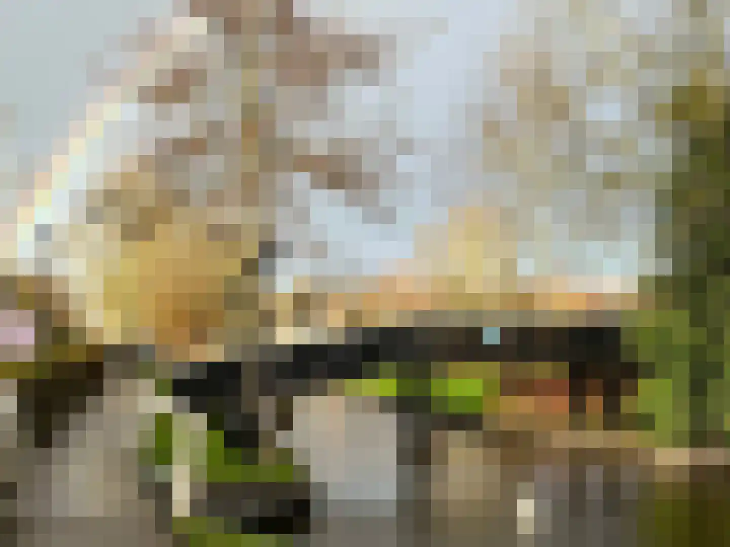 Kerkweg 52 Giethoorn thumbnail 66
