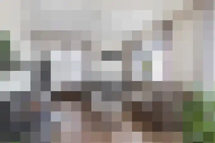 Kerkweg 52 Wezep thumbnail 20