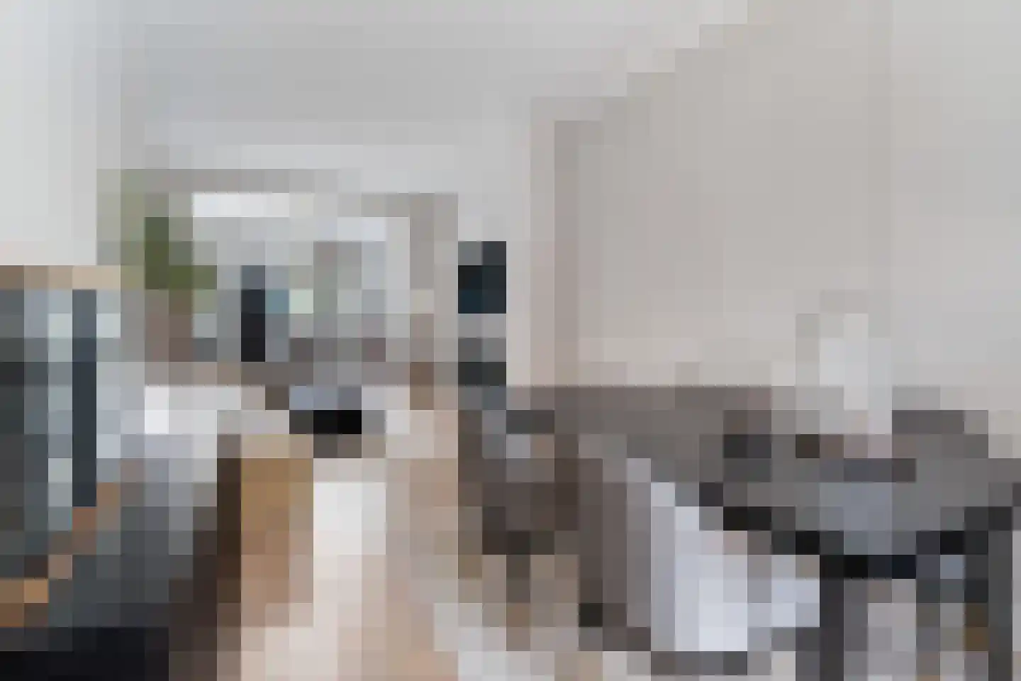 Kerkweg 53 Utrecht thumbnail 10