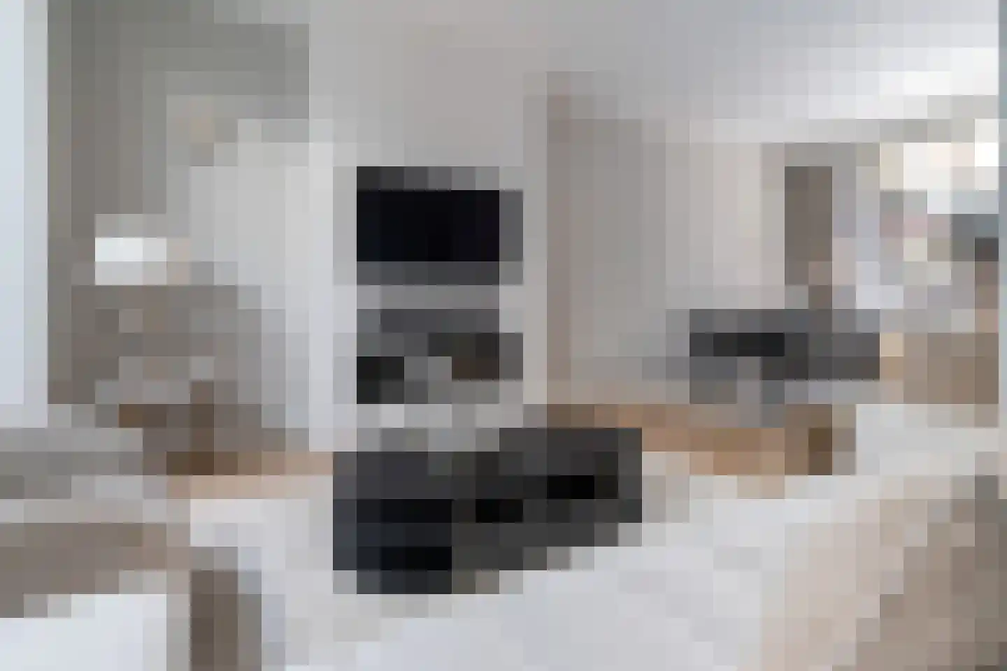 Kerkweg 53 Utrecht thumbnail 15