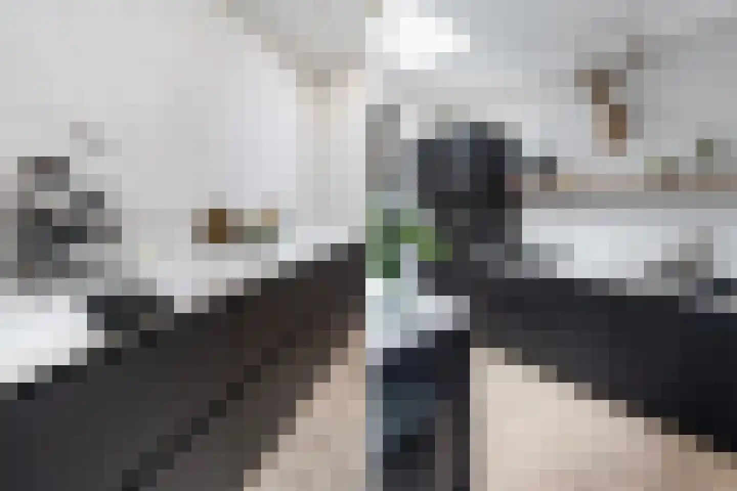 Kerkweg 53 Utrecht thumbnail 22