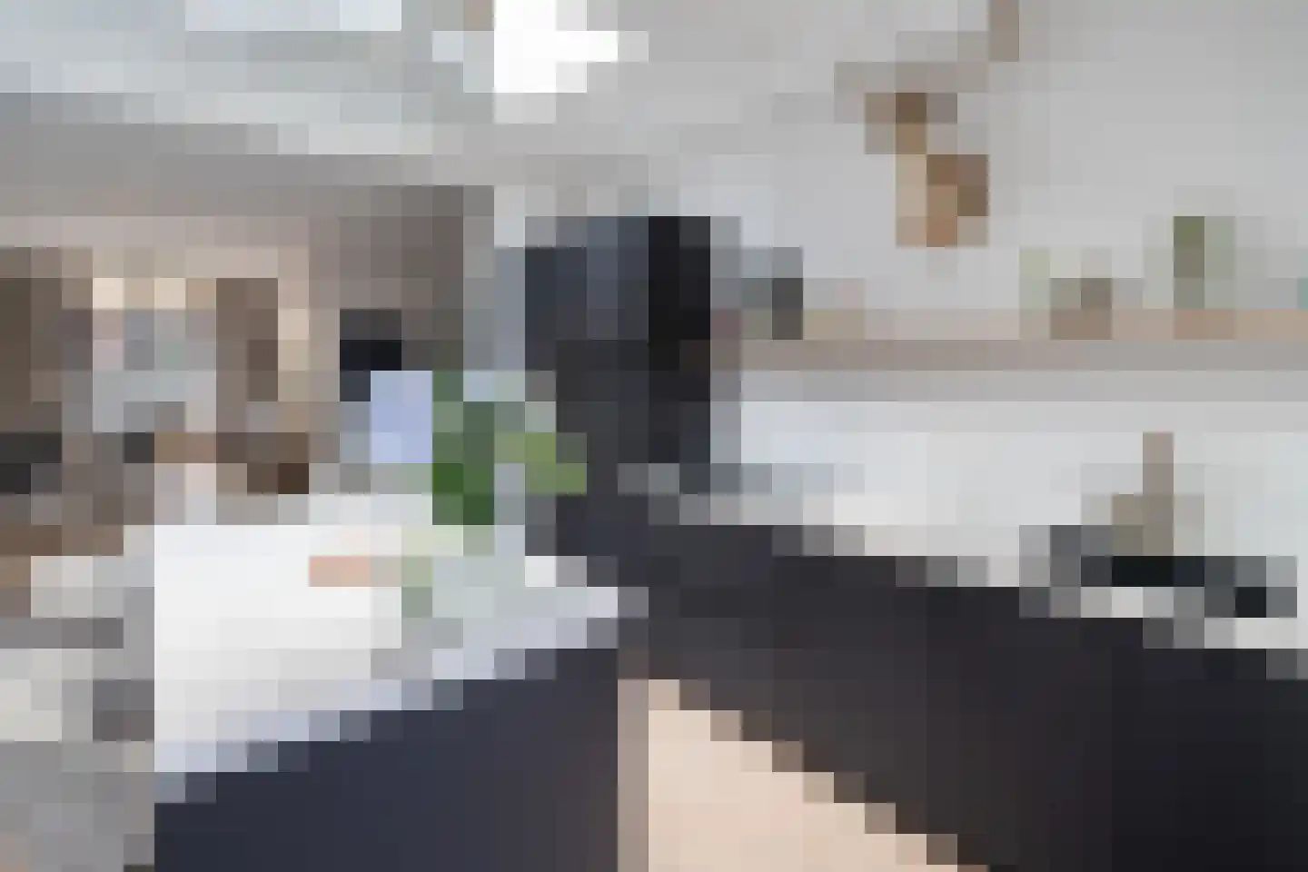 Kerkweg 53 Utrecht thumbnail 24