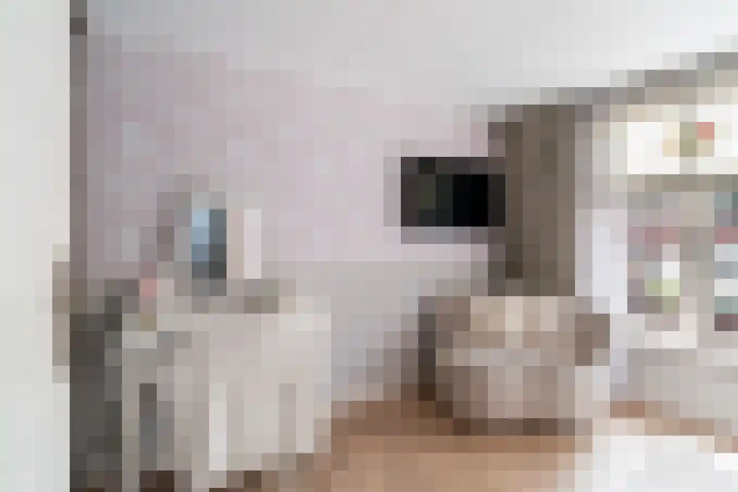 Kerkweg 53 Utrecht thumbnail 38