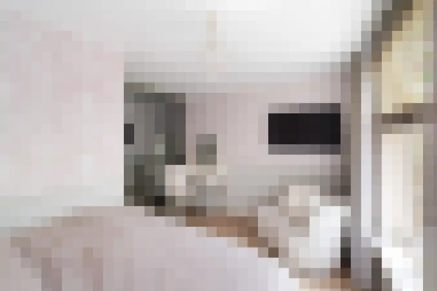 Kerkweg 53 Utrecht thumbnail 40