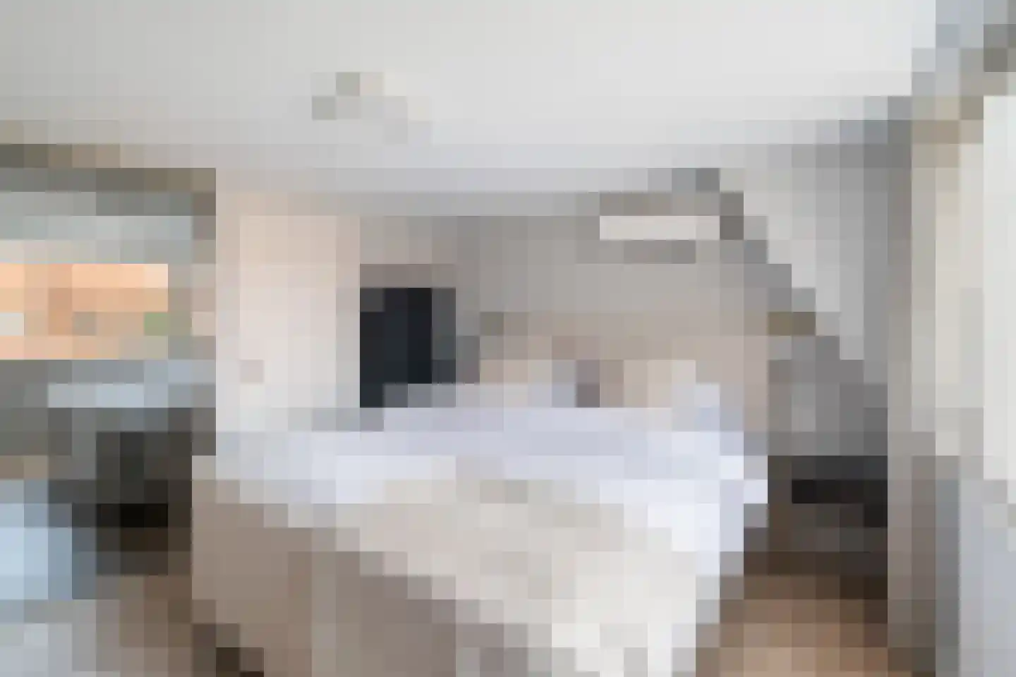 Kerkweg 53 Utrecht thumbnail 42