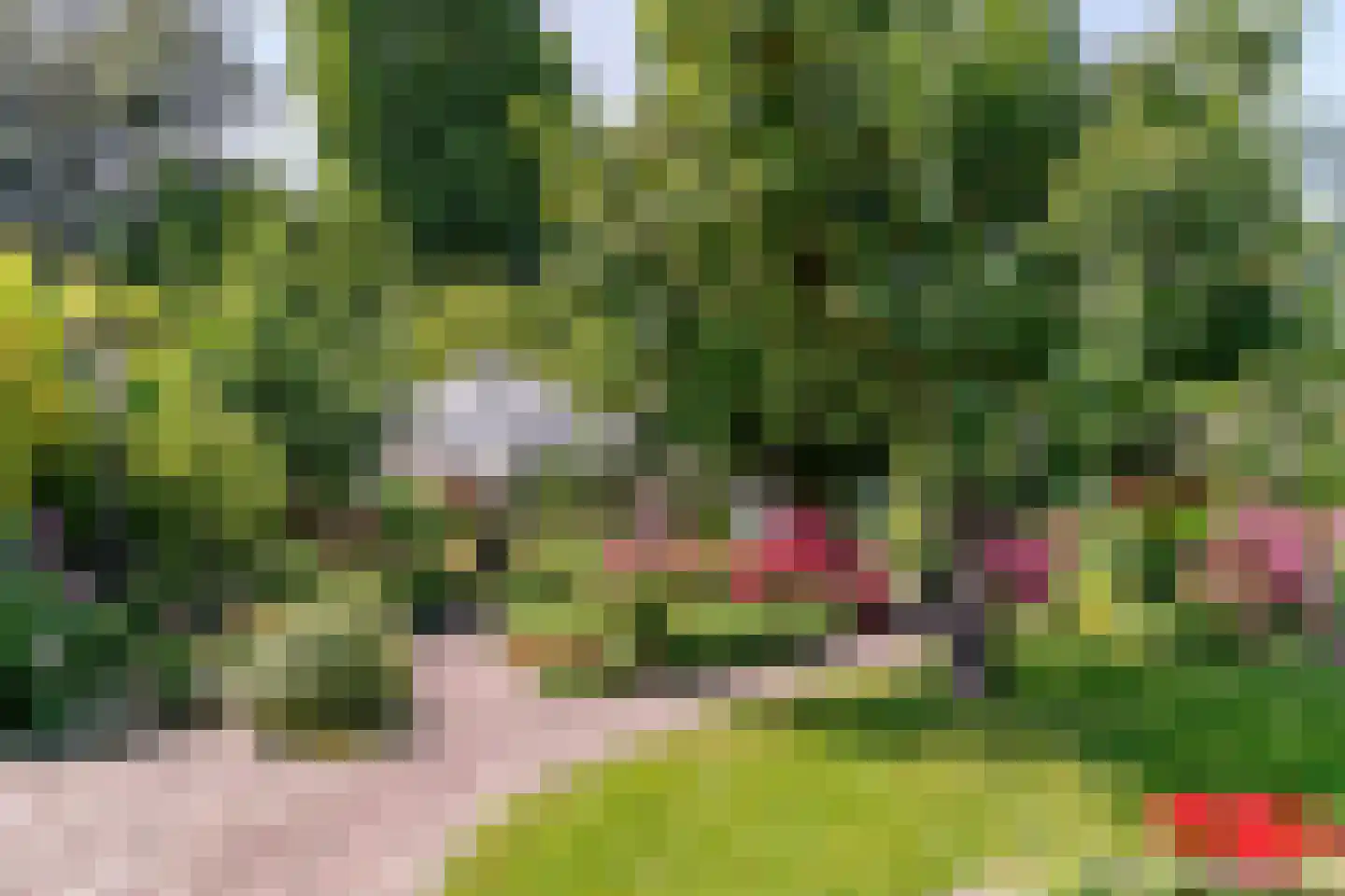 Kerkweg 54 Aalsmeer thumbnail 26