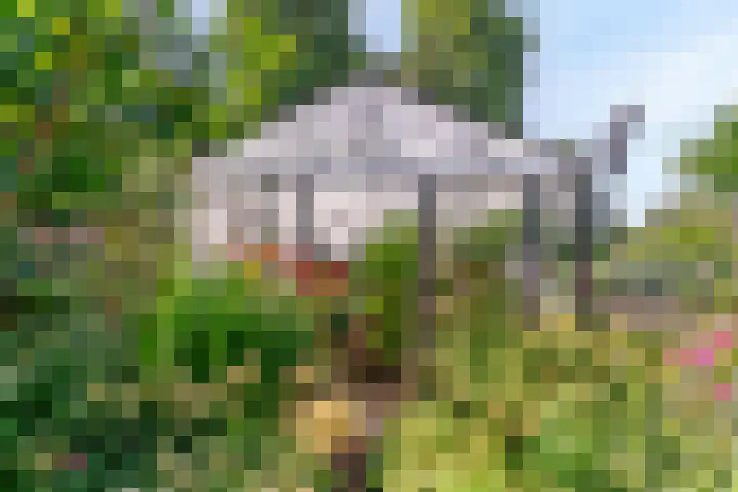 Kerkweg 54 Aalsmeer thumbnail 28