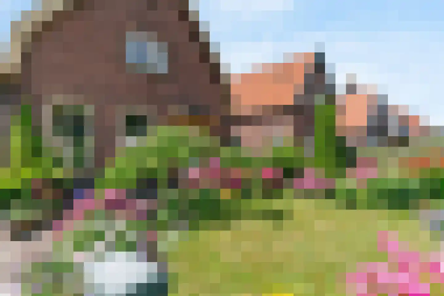 Kerkweg 54 Aalsmeer thumbnail 36