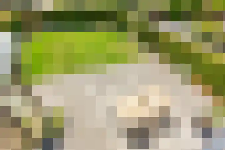Kerkweg 56 Nootdorp thumbnail 13