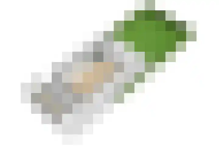 Kerkweg 56 Nootdorp thumbnail 43