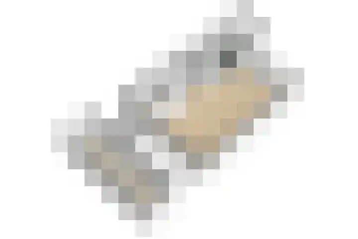 Kerkweg 56 Nootdorp thumbnail 44