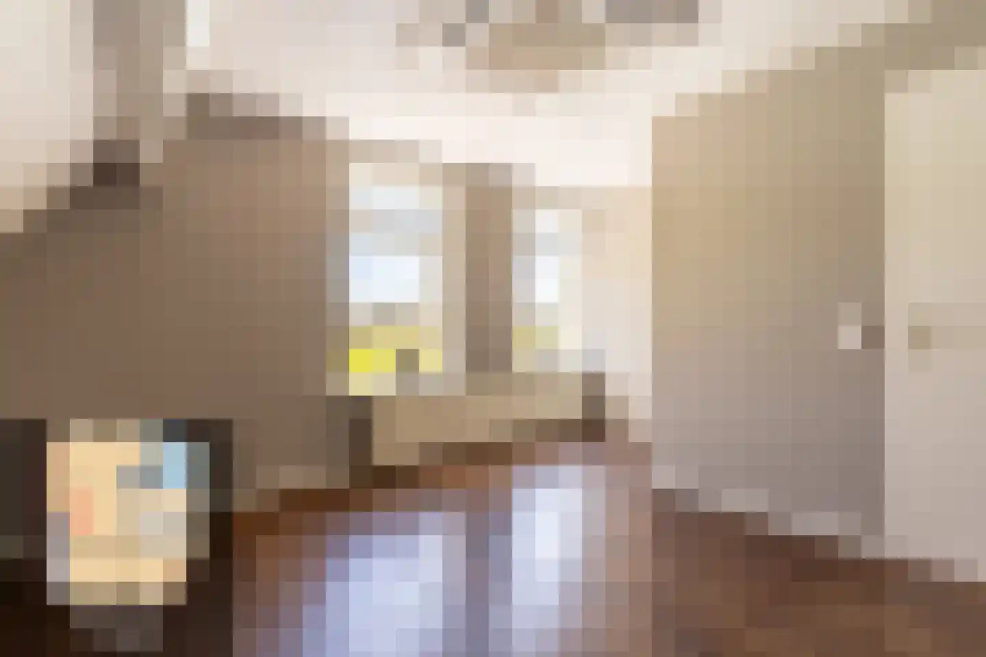 Kerkweg 58 Schiedam thumbnail 18