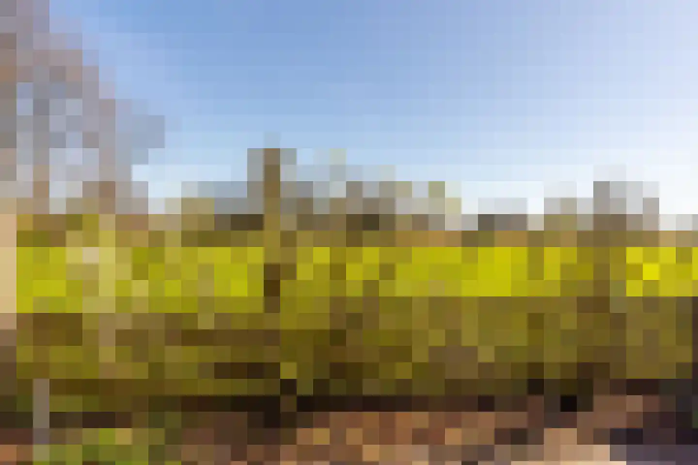 Kerkweg 58 Schiedam thumbnail 32