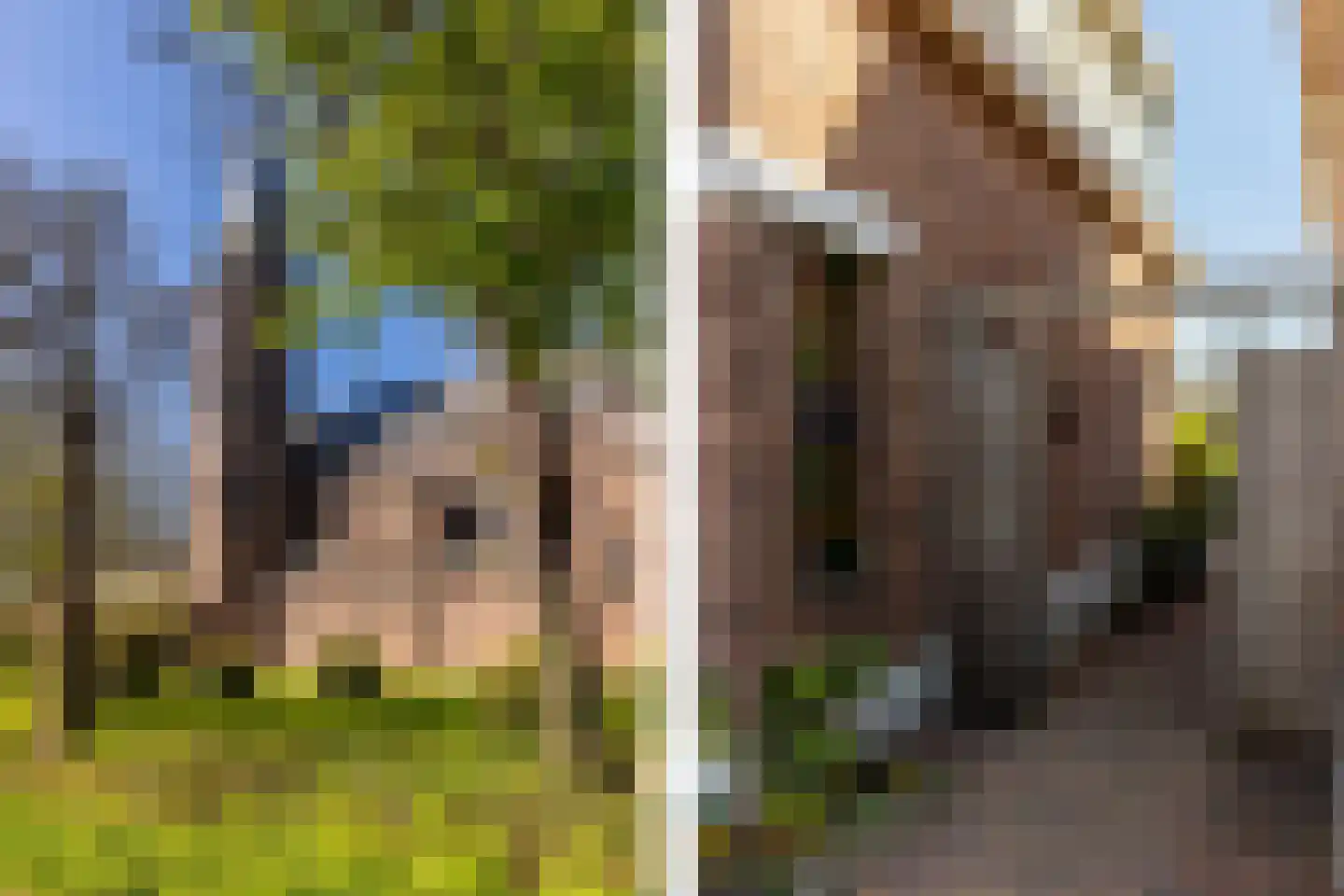 Kerkweg 58 Schiedam thumbnail 37