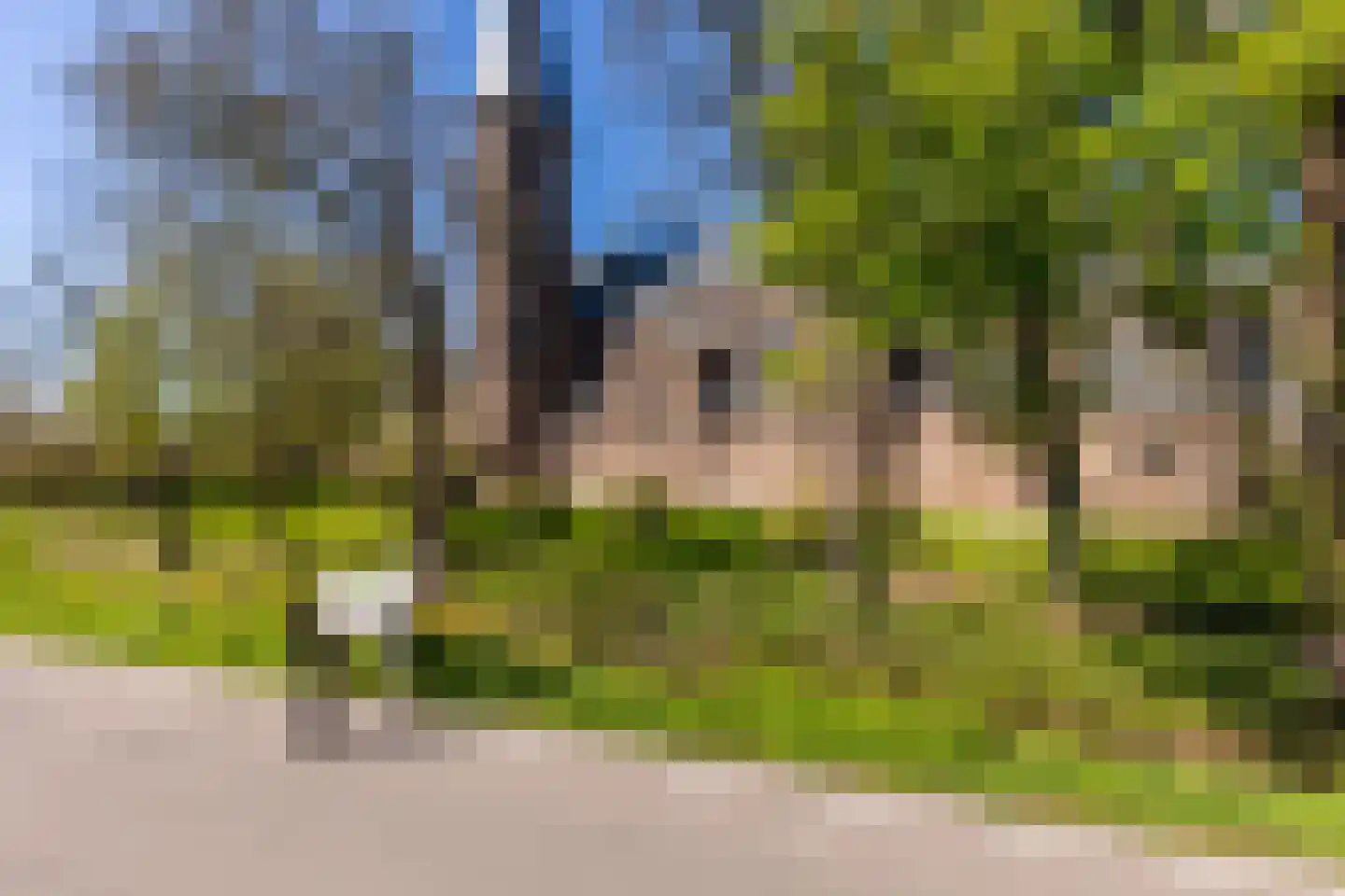Kerkweg 58 Schiedam thumbnail 38