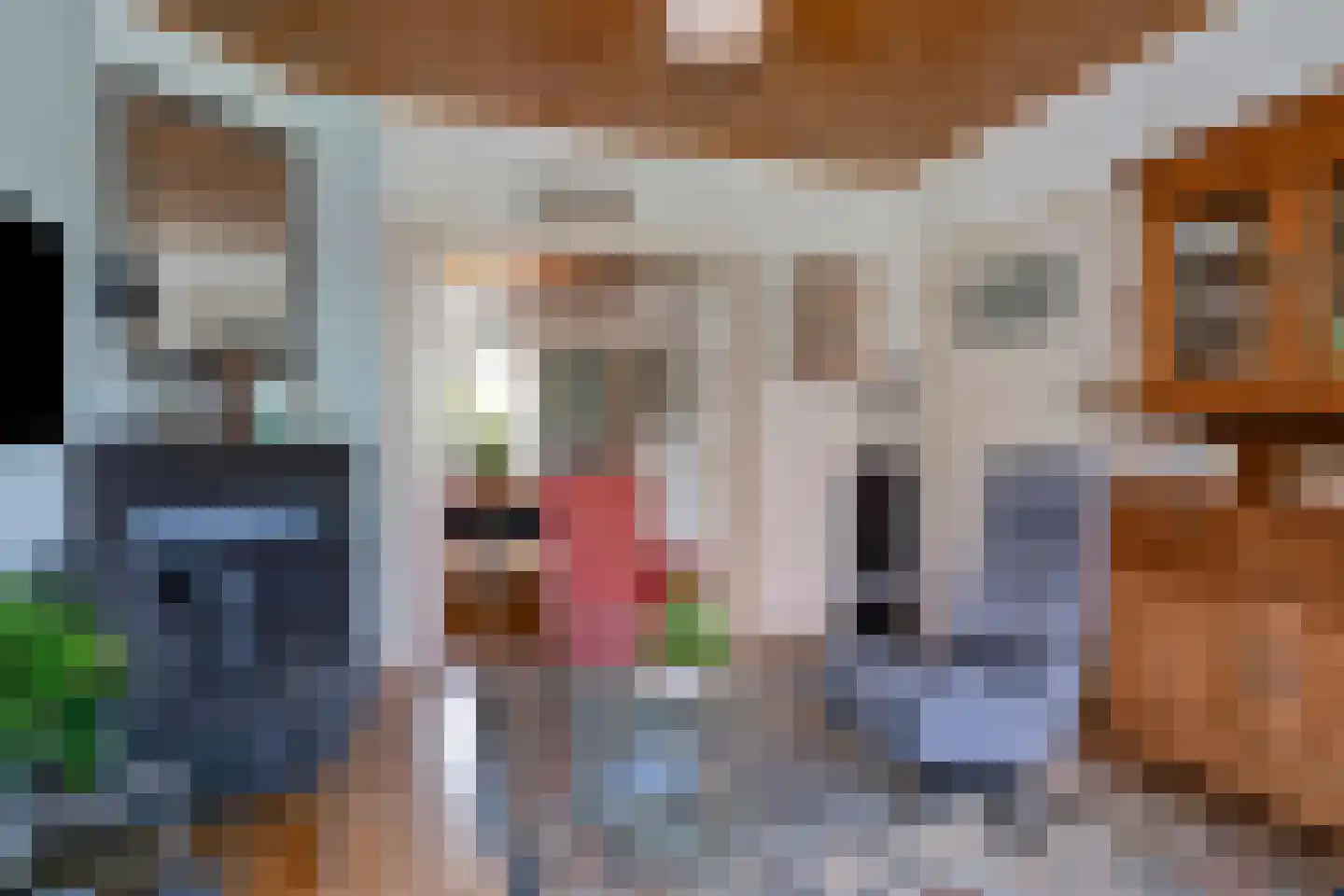 Kerkweg 59 Meerssen thumbnail 13