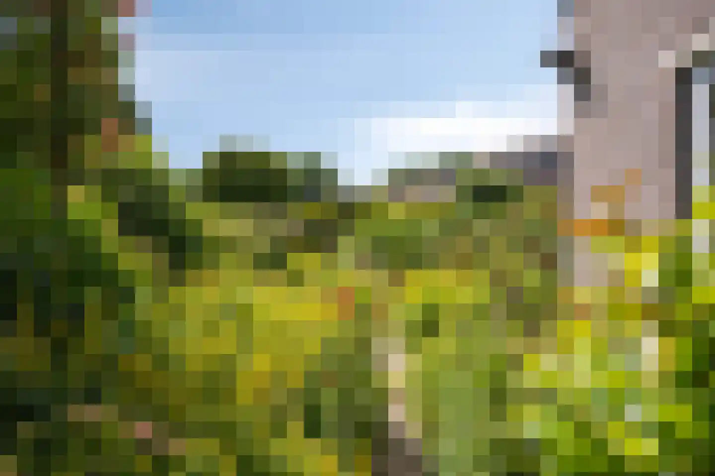 Kerkweg 59 Meerssen thumbnail 30
