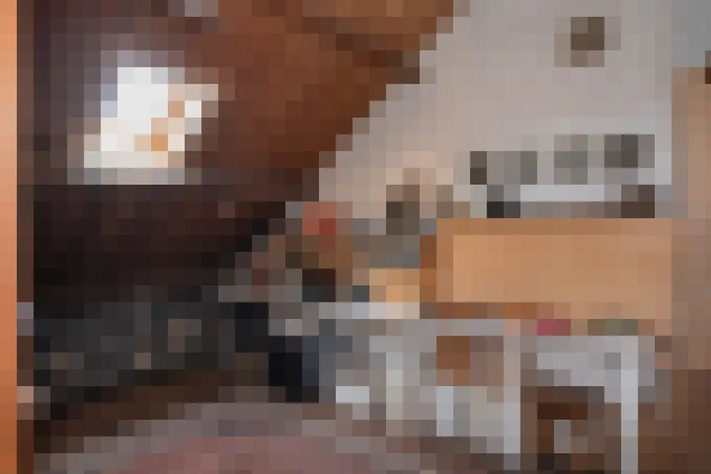 Kerkweg 59 Meerssen thumbnail 46