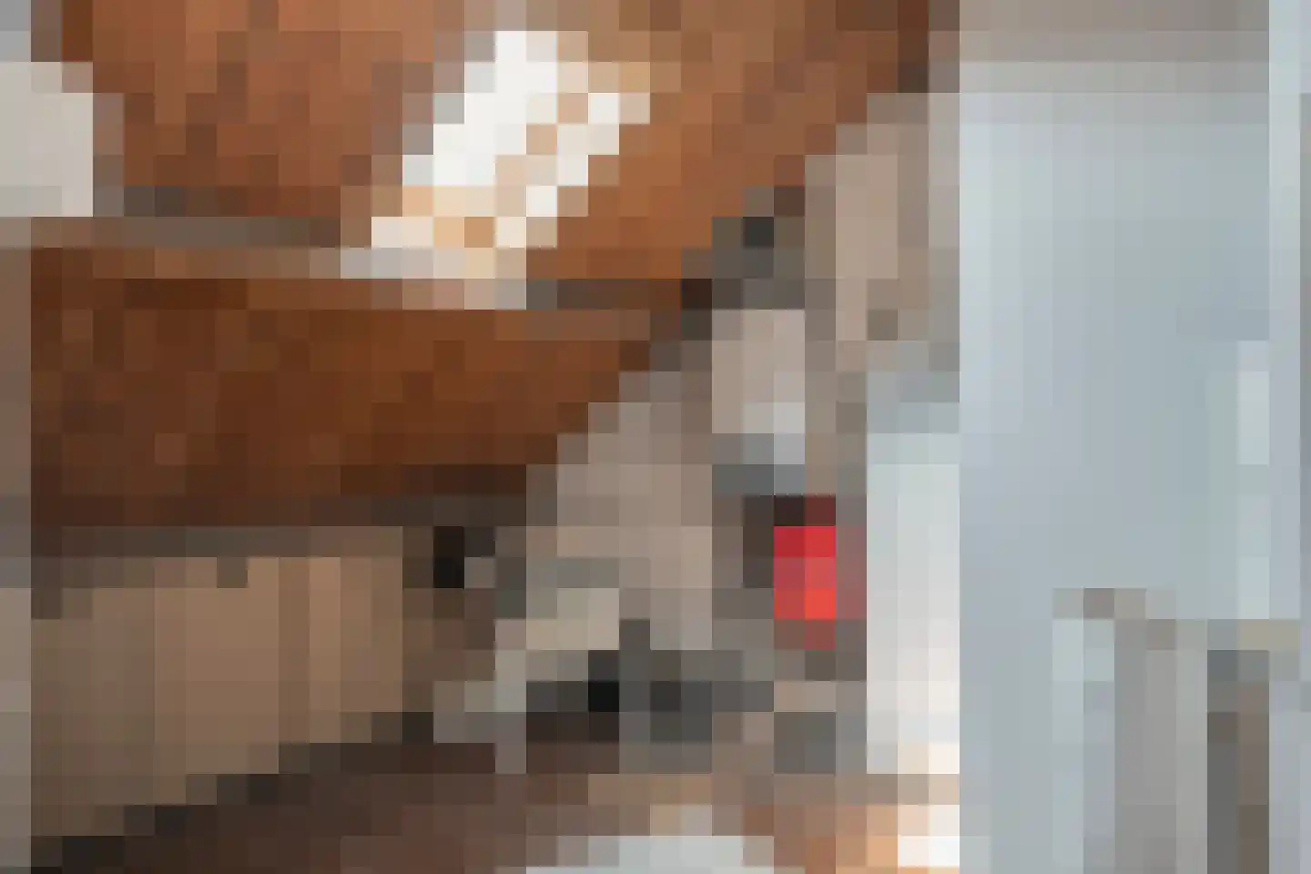 Kerkweg 59 Meerssen thumbnail 47