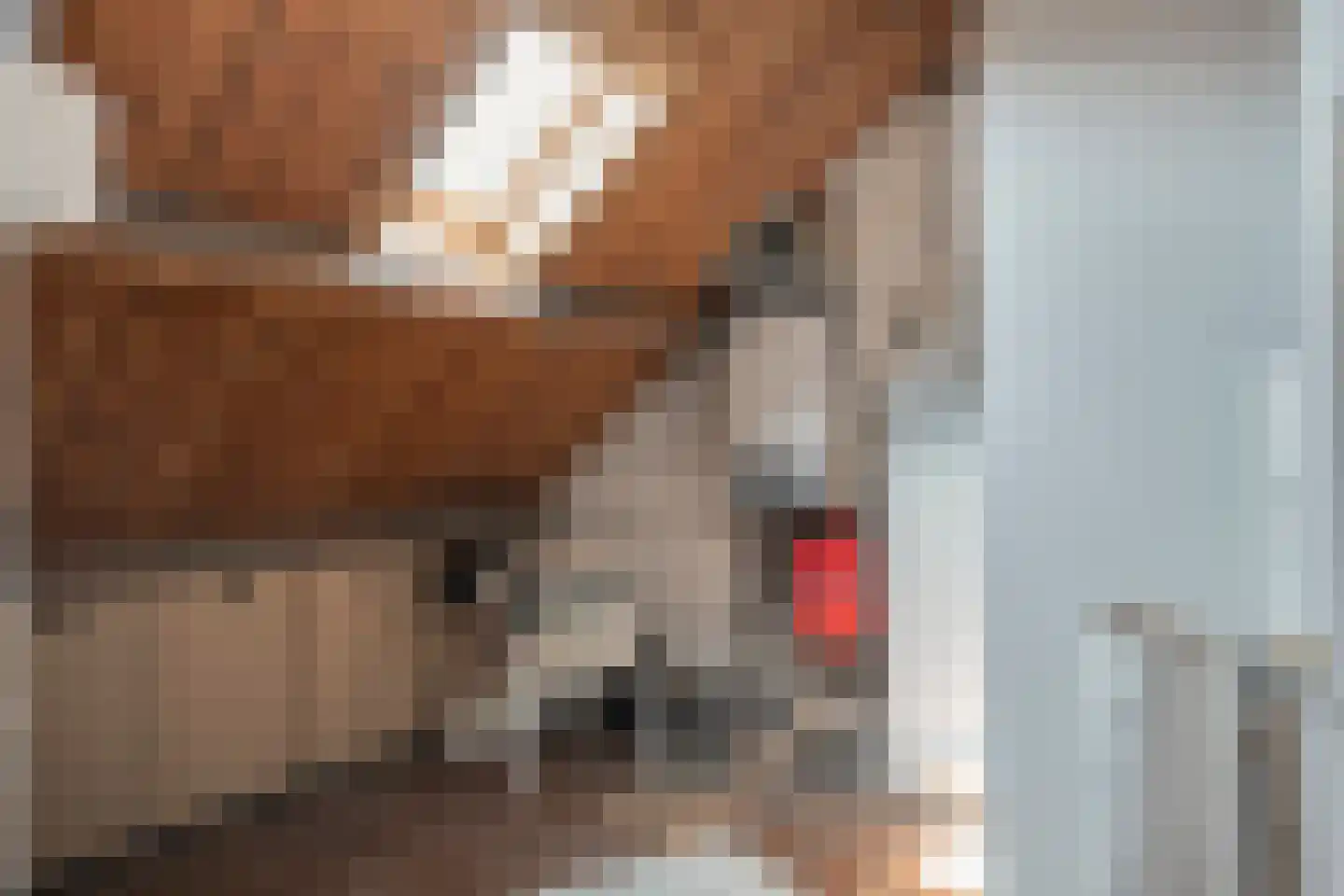 Kerkweg 59 Meerssen thumbnail 47