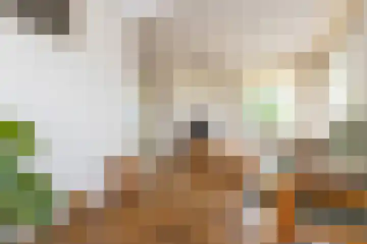 Kerkweg 59 Venhuizen thumbnail 15