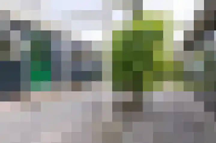 Kerkweg 59 Venhuizen thumbnail 21