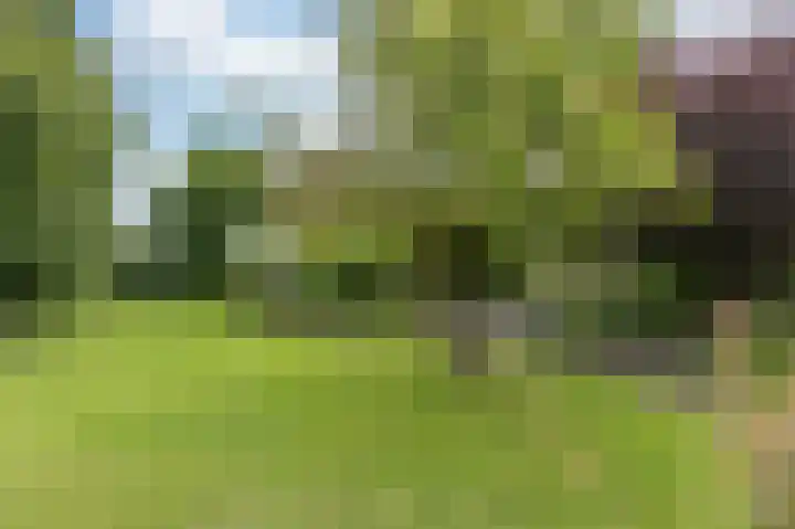 Kerkweg 59 Venhuizen thumbnail 22