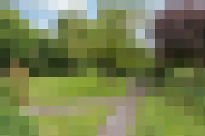 Kerkweg 59 Venhuizen thumbnail 23