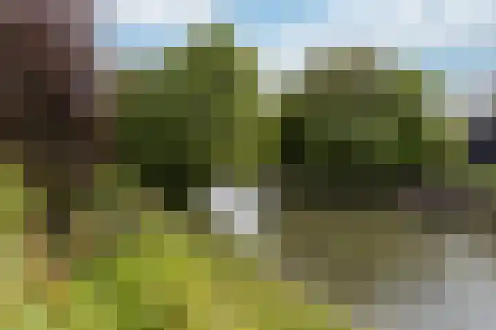 Kerkweg 59 Venhuizen thumbnail 25