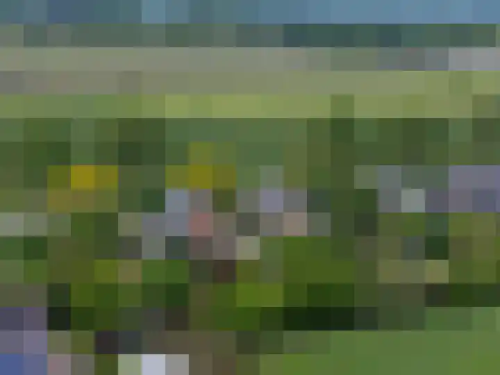 Kerkweg 59 Venhuizen thumbnail 32