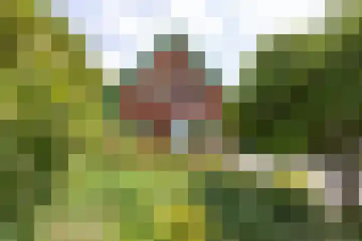 Kerkweg 59 Venhuizen thumbnail 33