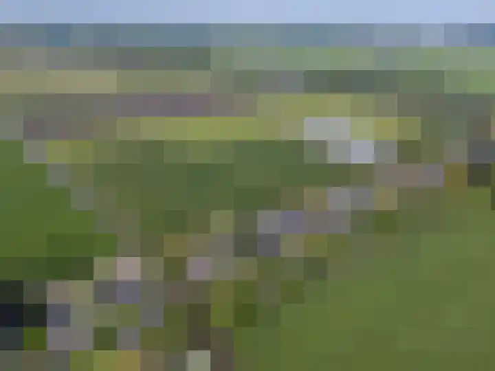 Kerkweg 59 Venhuizen thumbnail 5